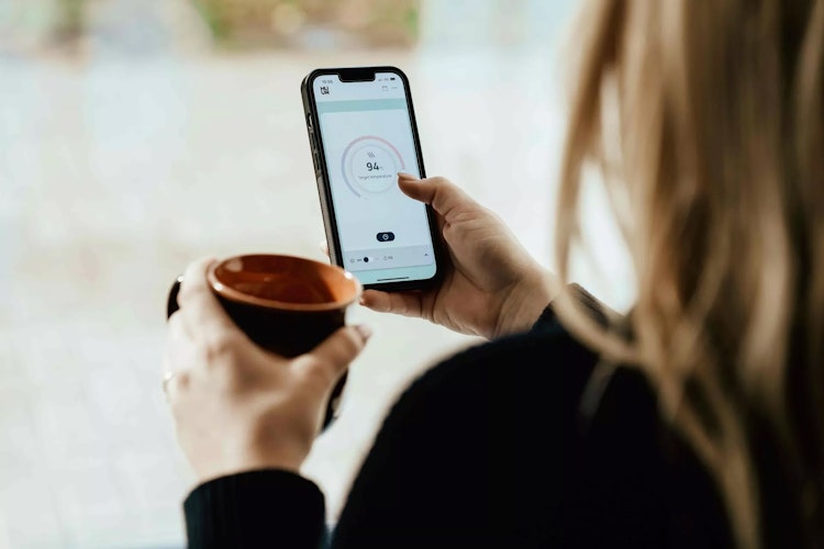 Karibu 4,5 kW Bio-Kombiofen anthrazit inkl. Huum WLAN Steuergerät mit App-Steuerung